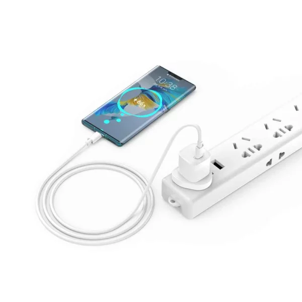 WI-U006 Nano 30W Gan PD Type-C To Type-C Charger