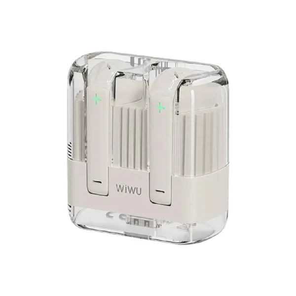 T21 Crystal Wireless Stereo - Image 4