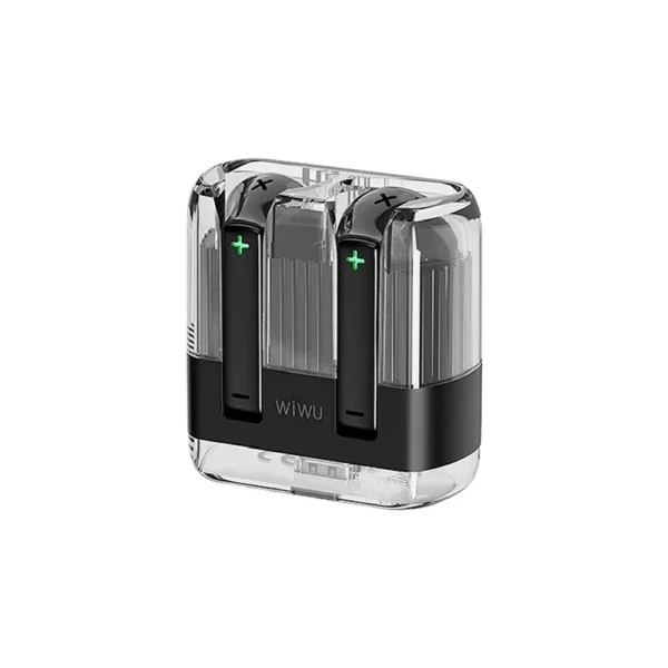 T21 Crystal Wireless Stereo - Image 2