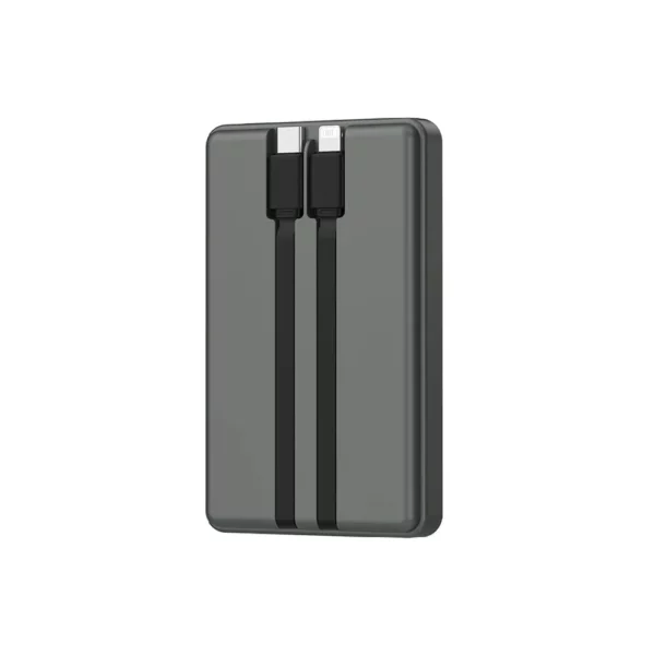 Wi-P004 Trunk Series 10000mAh Power Bank - Image 3